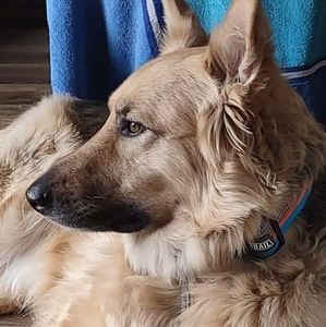 Meet your Posher, Connie